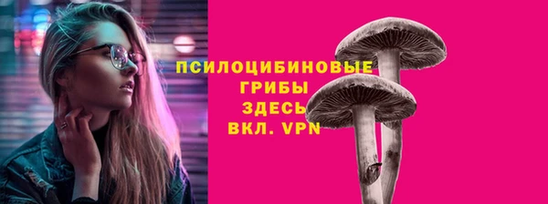 герыч Арсеньев