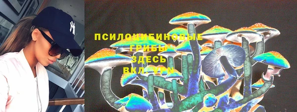 герыч Арсеньев