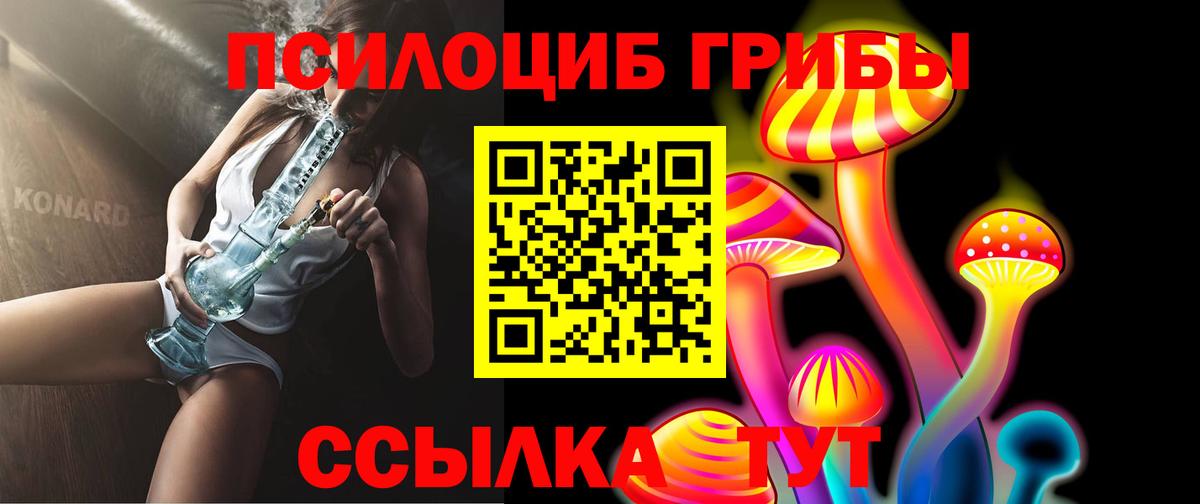 Псилоцибиновые грибы GOLDEN TEACHER  Вход с VPN  цена   Баксан  Галлюциногенные грибы Magic Shrooms 
